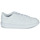 Buty Dziecko Trampki niskie adidas Originals Novice C Biały