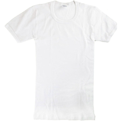 tekstylia Chłopiec T-shirty z krótkim rękawem Abanderado 0302-BLANCO Biały