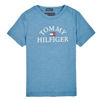 tekstylia Chłopiec T-shirty z krótkim rękawem Tommy Hilfiger KB0KB05619 Niebieski
