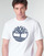 tekstylia Męskie T-shirty z krótkim rękawem Timberland SS KENNEBEC RIVER BRAND TREE TEE Biały