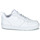 Buty Dziecko Trampki niskie Nike COURT BOROUGH LOW 2 GS Biały