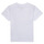 tekstylia Chłopiec T-shirty z krótkim rękawem Timberland ANTONIN Biały