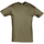 tekstylia T-shirty z krótkim rękawem Sols REGENT COLORS MEN Brązowy