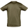 tekstylia T-shirty z krótkim rękawem Sols REGENT COLORS MEN Brązowy