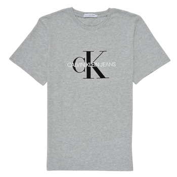 tekstylia Dziecko T-shirty z krótkim rękawem Calvin Klein Jeans MONOGRAM Szary