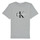 tekstylia Dziecko T-shirty z krótkim rękawem Calvin Klein Jeans MONOGRAM Szary