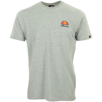 tekstylia Męskie T-shirty z krótkim rękawem Ellesse Canaletto T-Shirt Szary