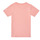 tekstylia Dziewczynka T-shirty z krótkim rękawem Columbia SWEET PINES GRAPHIC Różowy
