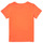 tekstylia Chłopiec T-shirty z krótkim rękawem Name it NMMFANO Pomarańczowy
