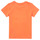 tekstylia Chłopiec T-shirty z krótkim rękawem Name it NMMFASHO Pomarańczowy
