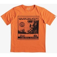 Dodatki Chłopiec T-shirty z krótkim rękawem Quiksilver CAMISETA NIO  EQBZT03939 7