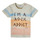 tekstylia Chłopiec T-shirty z krótkim rękawem Ikks XS10061-60 Wielokolorowy