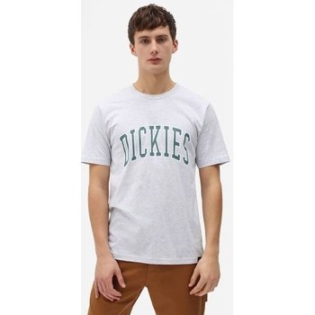 tekstylia Męskie T-shirty z krótkim rękawem Dickies T-shirt  Aitkin gris chiné/vert