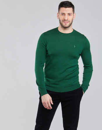 tekstylia Męskie Swetry Polo Ralph Lauren AMIRAL Zielony