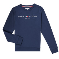 tekstylia Chłopiec Bluzy Tommy Hilfiger TERRIS Marine