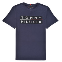 tekstylia Chłopiec T-shirty z krótkim rękawem Tommy Hilfiger TERRAD Marine