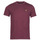 tekstylia Męskie T-shirty z krótkim rękawem Lyle & Scott ROBINA Bordeaux