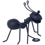 Czarna Mrówka