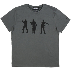 tekstylia Męskie T-shirty z krótkim rękawem Fortnite 2200005063 Gris