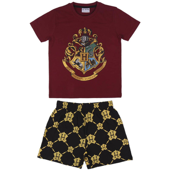 tekstylia Dziecko Piżama / koszula nocna Harry Potter 2200006993 Czerwony