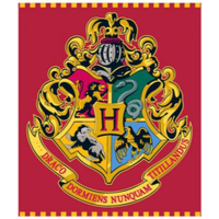 Dom Narzuta Harry Potter HP 52 48 128 Czerwony