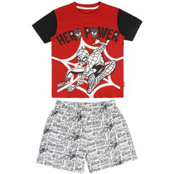 tekstylia Chłopiec Piżama / koszula nocna Marvel 2200005239 Rojo