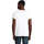 tekstylia Męskie T-shirty z krótkim rękawem Sols CAMISETA MANGA CORTA RAINBOW Biały
