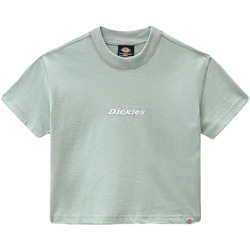 tekstylia Damskie T-shirty z krótkim rękawem Dickies DK0A4XBAB871 Zielony