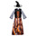 tekstylia Dziewczynka Kostiumy Fun Costumes COSTUME ENFANT DAZZLING WITCH Wielokolorowy