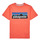 tekstylia Dziecko T-shirty z krótkim rękawem Patagonia BOYS LOGO T-SHIRT Koral