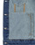 tekstylia Damskie Kurtki jeansowe Desigual CHAQ_OLIMPIA Szary / Chiné / Niebieski / Jean