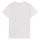 tekstylia Chłopiec T-shirty z krótkim rękawem Teddy Smith T-ALTINO Biały
