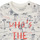 tekstylia Chłopiec T-shirty z krótkim rękawem Ikks ECHANTILOI Wielokolorowy