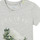 tekstylia Chłopiec T-shirty z krótkim rękawem Ikks ECHIFFAISE Szary