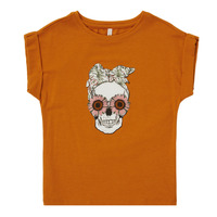 tekstylia Dziewczynka T-shirty z krótkim rękawem Only KONSNI SKULL Pomarańczowy