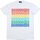 tekstylia Dziecko T-shirty i Koszulki polo Dsquared DQ0189-DD004G Biały