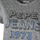tekstylia Damskie T-shirty z krótkim rękawem Pepe jeans PL504817 | Bibiana Szary