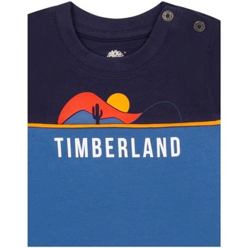 Timberland  Niebieski