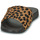 Buty Damskie klapki FitFlop IQUSHION Leopard / Czarny