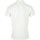 tekstylia Męskie T-shirty i Koszulki polo Tommy Hilfiger Solid Graphic Polo Biały