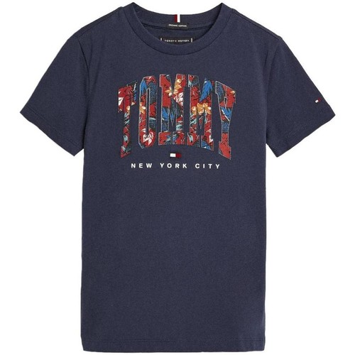 tekstylia Chłopiec T-shirty z krótkim rękawem Tommy Hilfiger  Niebieski
