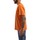 tekstylia Męskie T-shirty z krótkim rękawem Dickies DK0A4XNYC381 Pomarańczowy