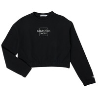 tekstylia Dziewczynka Bluzy Calvin Klein Jeans METALLIC BOX LOGO SWEATSHIRT Czarny