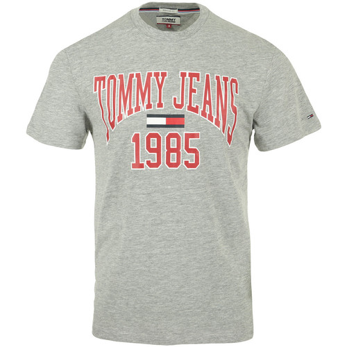 tekstylia Męskie T-shirty z krótkim rękawem Tommy Hilfiger Collegiate Tee Szary