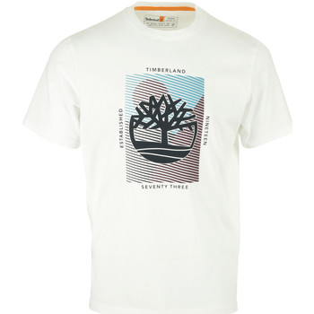 tekstylia Męskie T-shirty z krótkim rękawem Timberland Graphic Branded Tee Biały