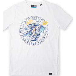 tekstylia Chłopiec T-shirty z krótkim rękawem O'neill T-shirt enfant  Salt Biały