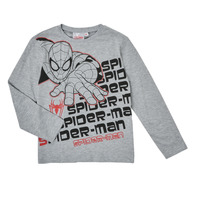 tekstylia Chłopiec T-shirty z długim rękawem TEAM HEROES  T-SHIRT SPIDER-MAN Szary