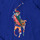 tekstylia Dziewczynka Sukienki krótkie Polo Ralph Lauren 313869572002 Marine
