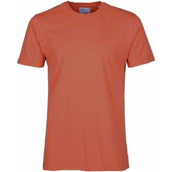 tekstylia T-shirty z krótkim rękawem Colorful Standard T-shirt  Classic Organic dark amber Czerwony