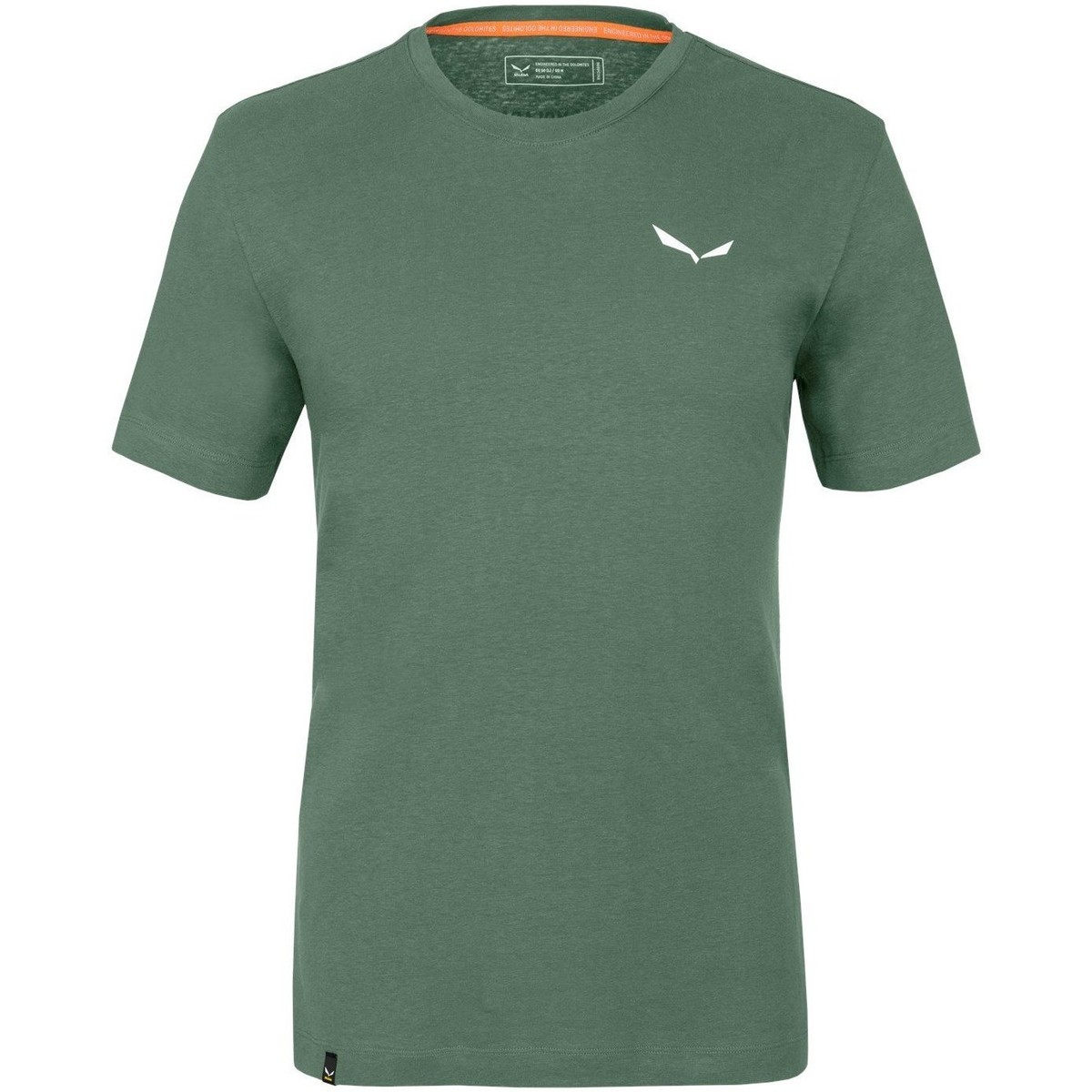 tekstylia Męskie T-shirty i Koszulki polo Salewa Pure Dolomites Hemp Men's T-Shirt 28329-5320 Zielony